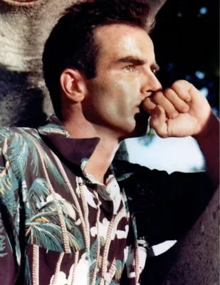 A Montgomery Clift Beauty Looking Away 8x10 Picture Celebrity Print • $3.98