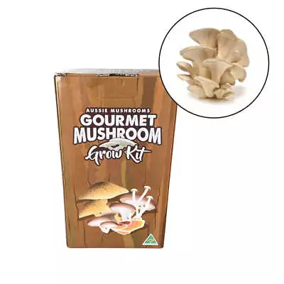 White Oyster - Aussie Mushroom Kit • $54.95