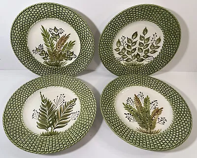 J Willfred Charles Sadek Hand Painted Fern Plates 8.5 Inch Set Of 4 Portugal • $48