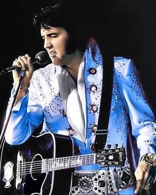 Elvis Presley In Concert  8x10 PHOTO PRINT • $7.98