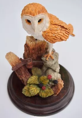 Country Artists 'Moments Rest' Barn Owl By Artist Stephen Langford 1995 CA744G • £20
