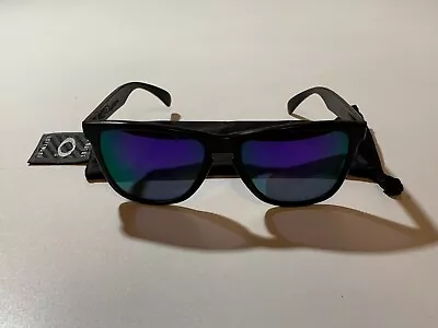 Vintage Oakley Frogskins Violet Iridium Sunglasses • $51