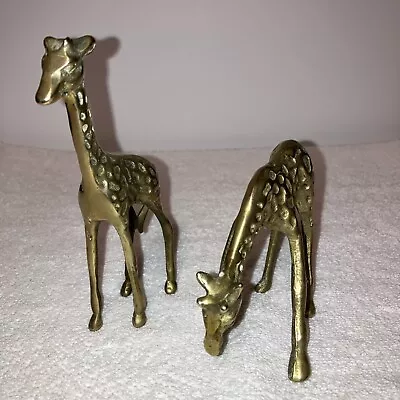 Vintage Solid Brass Deer Figurines 3-5 Inch Set Of Two • $25