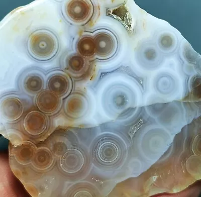 Collection ! Amazing Orbicular Ocean Jasper Agate Small Druzy Slab Reiki Stone • $23.99