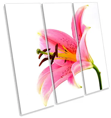 Pink Lily Flower Floral CANVAS WALL ART TREBLE Square Print Picture • £49.99