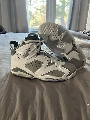 Men's Jordan 6 Retro  Cool Grey  White/Medium Grey-Cool Grey (CT8529 100) - 8 • $25.50