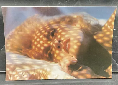 Madonna Postcard This Used To Be My Playground Boy Toy 1991 • $6