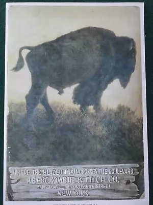 Abercrombie & Fitch Advertising Poster Buffalo  • $7.50