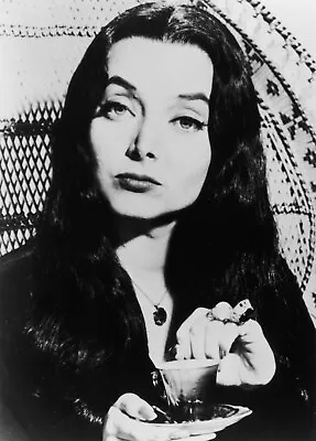 72653 THE ADDAMS FAMILY Art Morticia Carolyn Jones Wall 24x18 POSTER Print • $19.95