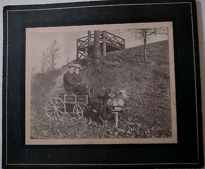 1920s Goat Cart Photograph Eldredge Boys / C C DeLisle Salamanca NY • $22.90