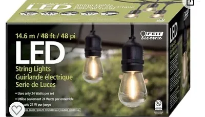 Feit Electric 48' LED Filament String Light Set • $40