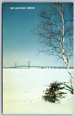 Mackinac Bridge Michigan Winter Ice Snow On Lake Island Vintage Postcard • $3.99