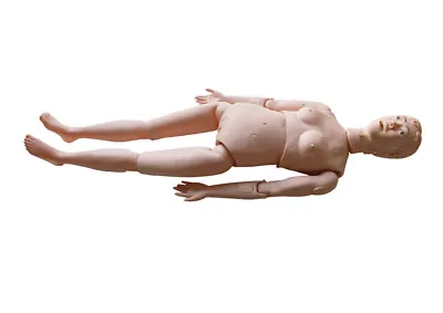 $328.06 • Buy Techtong Anatomica Medical Female Patient Care Manikins For Nurse Training Model