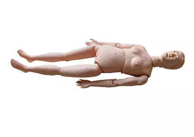 Techtong Anatomica Medical Female Patient Care Manikins For Nurse Training Model • $325