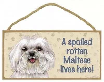 A Spoiled Rotten Maltese Lives Here! CUTE Dog Sign 5 X10  NEW Wood Plaque 158 • $12.99