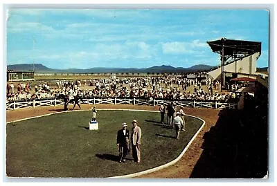 C1950's La Mesa Park Horse Racing Crowd Grandstand Raton New Mexico NM Postcard • $29.95