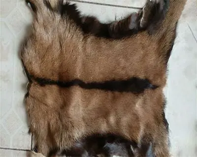 $15.19 • Buy 1pcs Real Antelope Goat Skin Pelt Rug Hide Tanned Leather Clothing Accessories