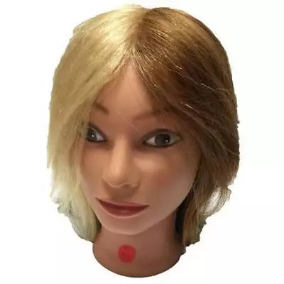 Practice Mannequin Head / Female Quad Color • $25