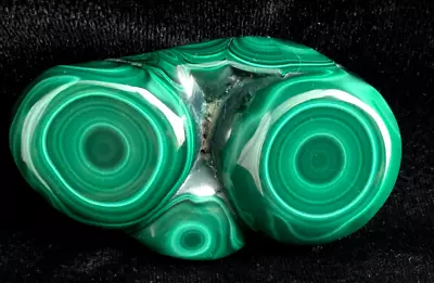 POLISHED MALACHITE WITH  BULL'S EYES  - 3 3/8 Inches Long • $38