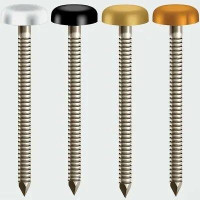 £4.18 • Buy Plastic Headed Top Steel Nails Pins  Plastop, Upvc Fascia Soffit (black)