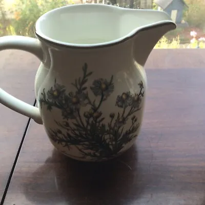 Villeroy Boch Botanica 5 Inch Pitcher • $12