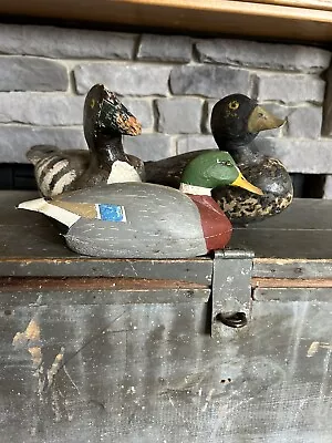 Lot Of 3 Duck Decoys (1) Miniature Mallard • $95