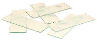 Eisco Labs Microscope Slides With Double Concavity Pack Of 10 • $12.99