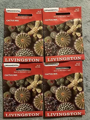 4 Packs Of Livingston Cactus Seeds~ Mixed Variety Of Cactus • $10