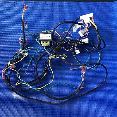 Raypak Wire Harness For A Pool/Spa Heater • $30