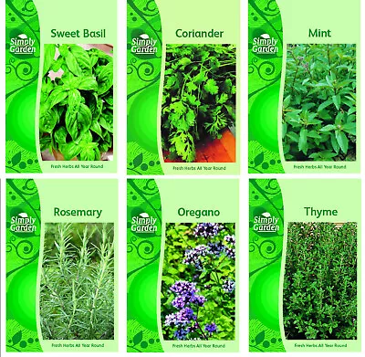 HERB COLLECTION 4 - 6 Packets Of HERB SEEDS - Oregano Coriander Basil Mint • £5.94