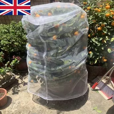 Garden Plant Fruit Fly Bug Net Insect Mesh Vegetable Crops Protection Cover Bags • £4.74