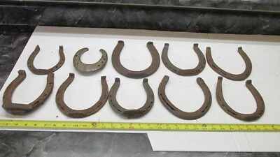 $39.99 • Buy 10 Big Old Antique  Good Luck Rusty  Kansas Farm Horse Shoe Lot G