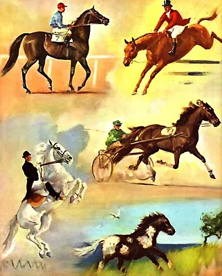  HORSES  Vintage Original Horse Print 1960 • £19.95