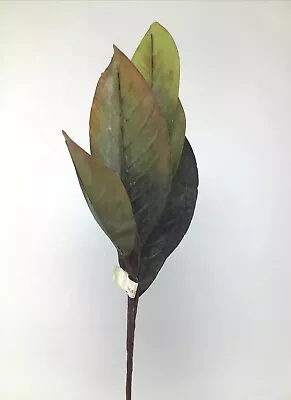 Green Leaf Artificial Floral Arrangement 16” Pick Stem Filler Vintage NOS READ • $12.50