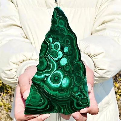 2.19LB Natural Malachite Slice Quartz Crystal Luster Mineral Specimen • $0.99