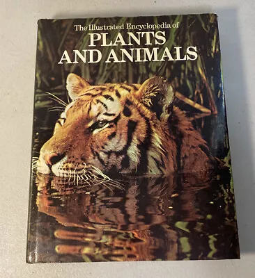 The Illustrated Encyclopedia Of Plants And Animals Vintage 1979 Hardcover 1st • $3.74