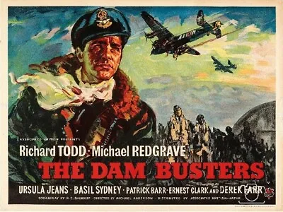 The Dam Busters - Colourized Starring Richard Todd Michael Redgrave Robert Shaw • £3.70