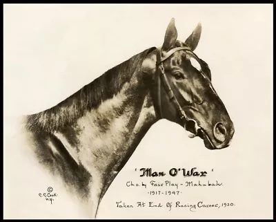 Man O' War - 1920 Head Shot 8x10 Horse Racing Photo By C.c. Cook! • $9.99
