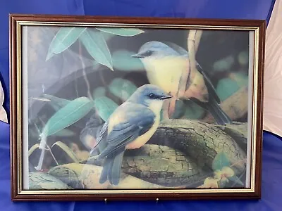 Vintage Framed Hologram Picture Birds • £12