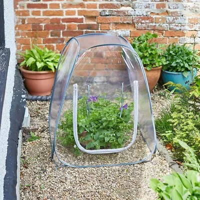 Pop-Up Cloche Plant Pot Cover Portable Clear Mini Garden Greenhouse Grow House • £14.95