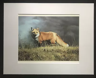 Charles Frace'   Red Rascal  11 X 14 Matted 1983 Print-Red Fox • $25.99