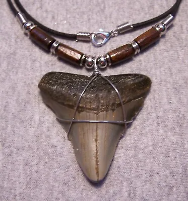 Megalodon Shark Tooth Necklace 2  Sharks Teeth Large Fossil Diver Gem Color • $30