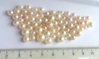 Lot Vintage Akoya Pearls 74 Loose Full Drilled 1 @ 8mm 7 To 2.6mm All VERY NICE! • $134.95