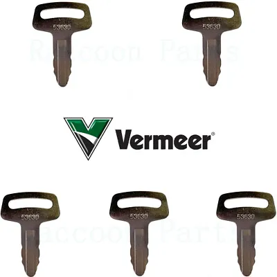 5 Vermeer Chipper Ignition Keys And Fits Grasshopper Mower Lay-Mor Sweepmaster • $12