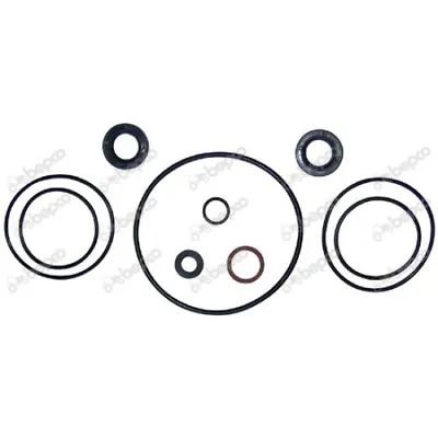 1810509M91 Massey Ferguson Some 255 265 275 50C Power Steering Pump Repair Kit • $27.51