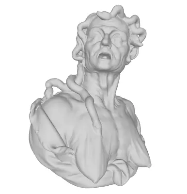 Envy Invidia Medusa Justus De Corte 1670 3D Printed Model Statue Sculpture • $24.99