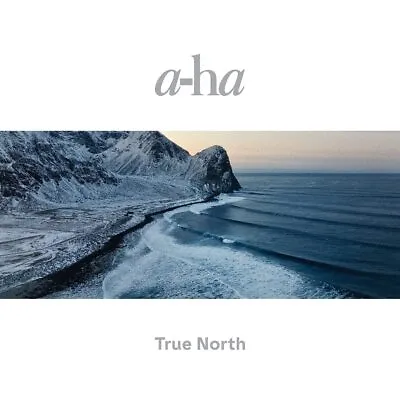 A-Ha True North 180g 2LP Recycled Black Vinyl 45RPM Gatefold 2022 Sony Music • £47.99