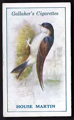 Gallaher - British Birds By George Rankin - #23 House Martin • £1.40