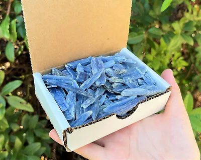 Blue Kyanite Blades Crystal Collection 1/2 Lb Box Lot - Natural Kyanite Crystals • $13.95