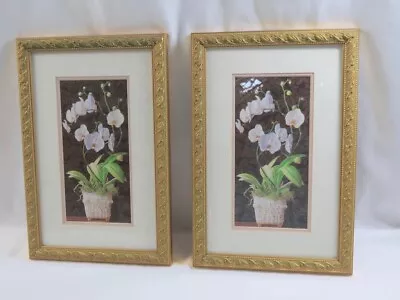 Vintage Gold Framed Cedar Creek Collection Pictures Pale Pink White Orchids X 2 • $29